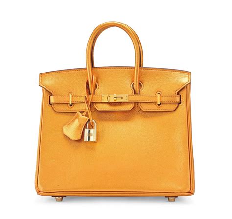 hermes bags prices 2023|hermes birkin bag teuerste.